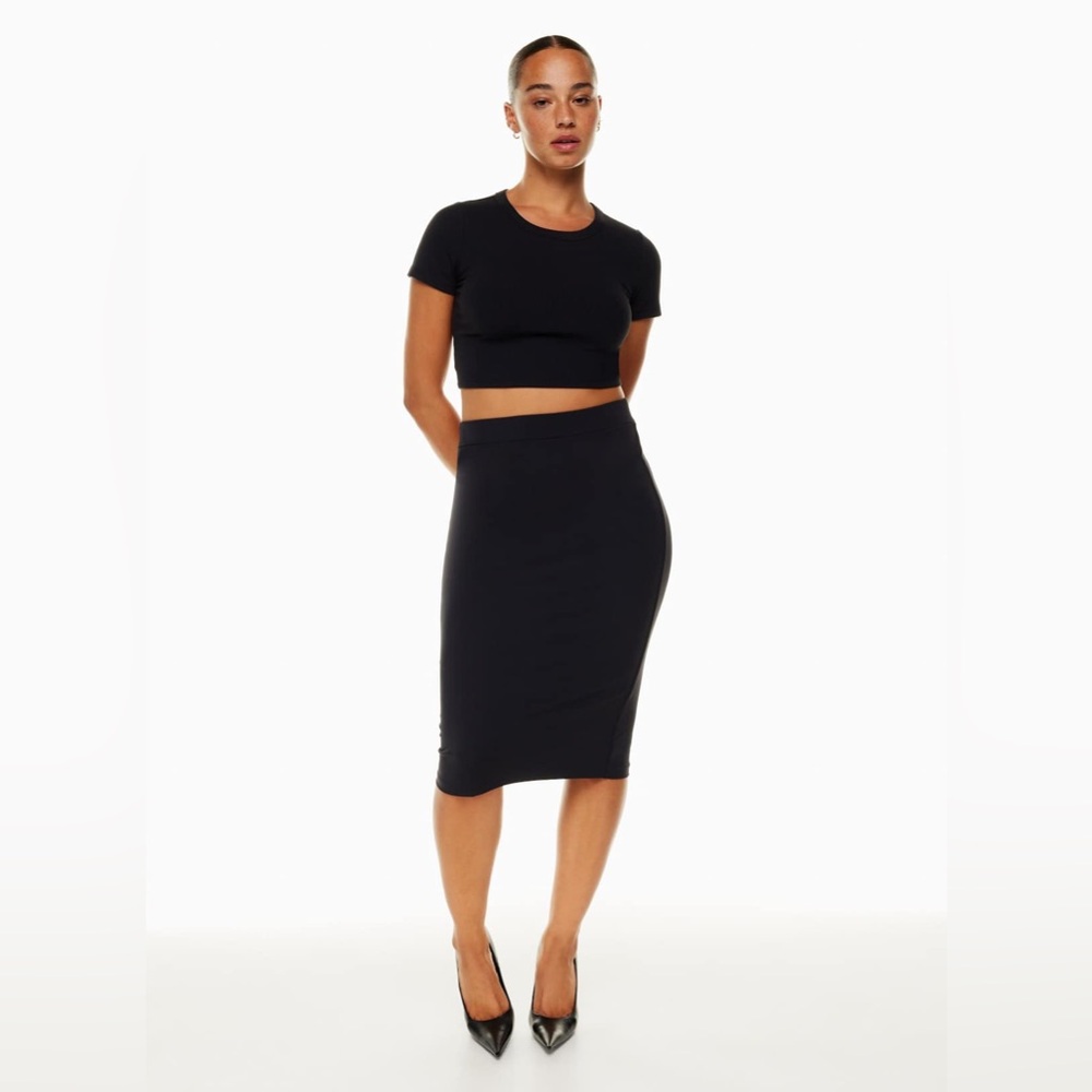 Aritzia Babaton Contour Pencil Skirt
